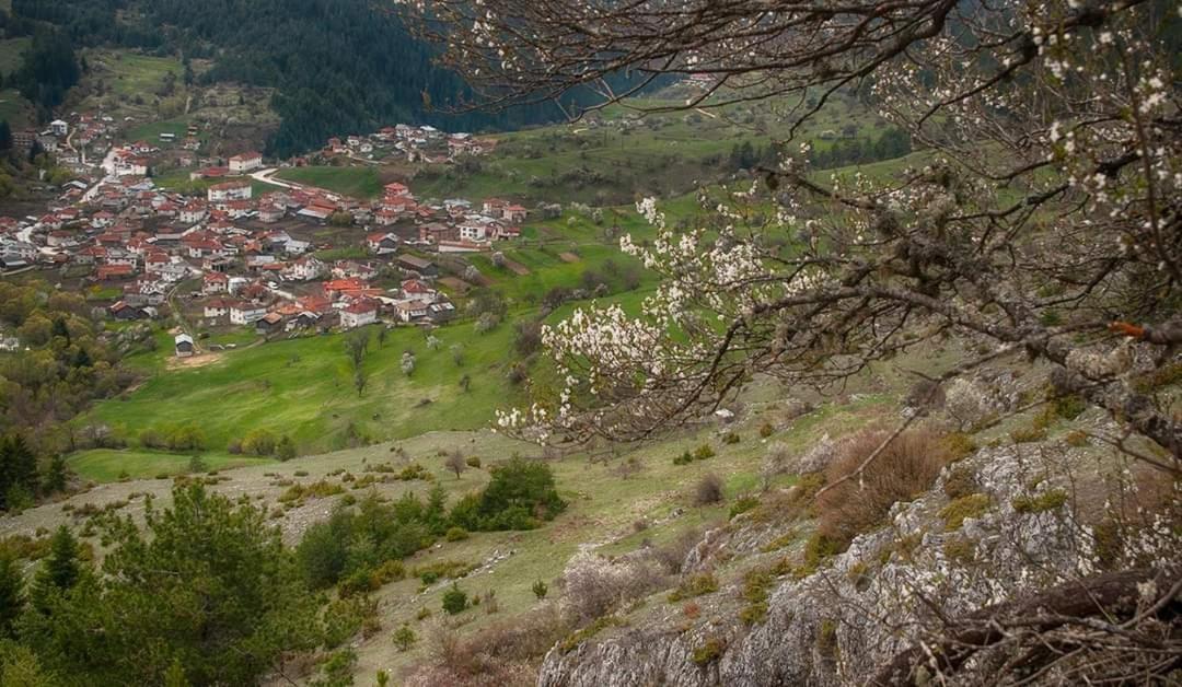 Вила Здравец Jagodina Exteriör bild